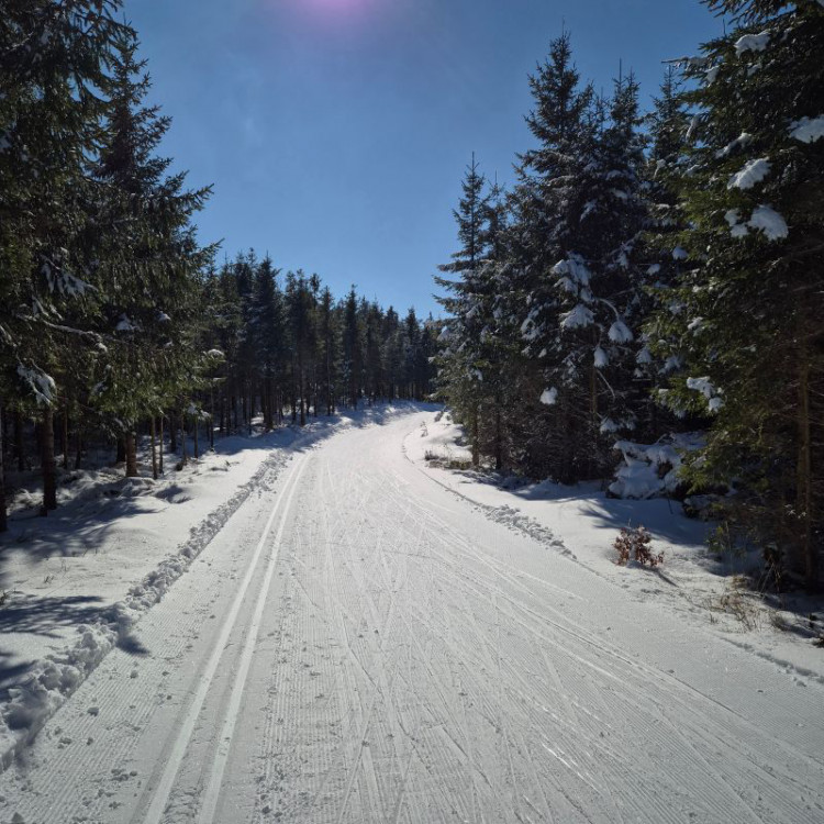 Kostloipe im März